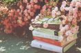 /album/boock-flowers/books-we-heart-it-8931211-png/